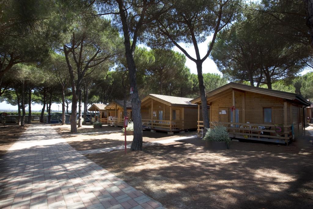 Camping Village Africa 3* Albinia